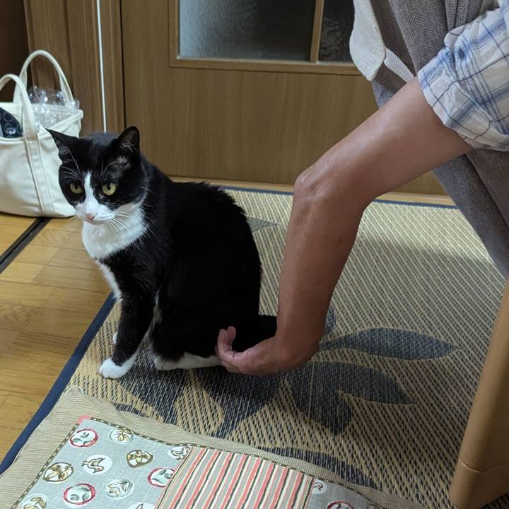 Fcde4f48 cb4d 4b48 9dc3 8ce1ad1a63f2 1752820866156