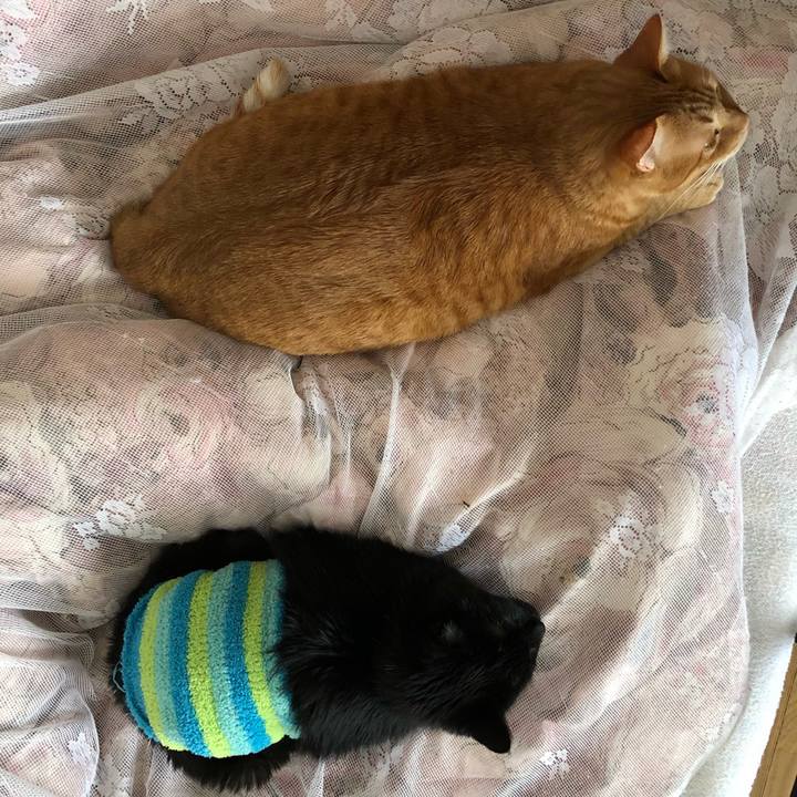 Fcde5a46 a098 4488 aa89 5909ea27b5b9 1608431530641