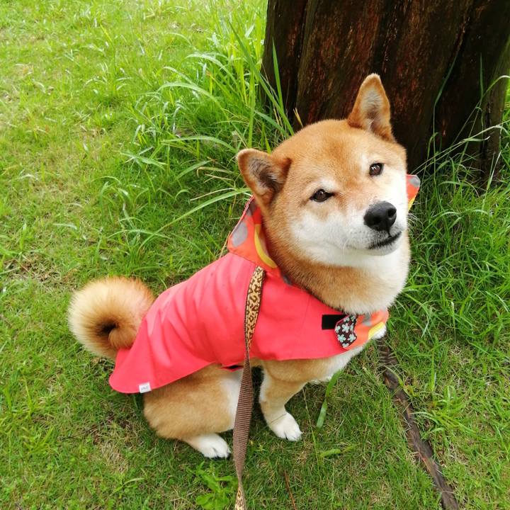 Fcde6067 e2fd 466c acaf f7b68750f46f 1589852270006