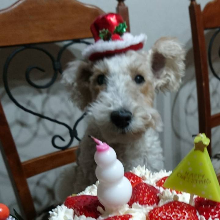 Fcdedefe acfa 43bd 8b9b b93c9ba956fc 1545651092767