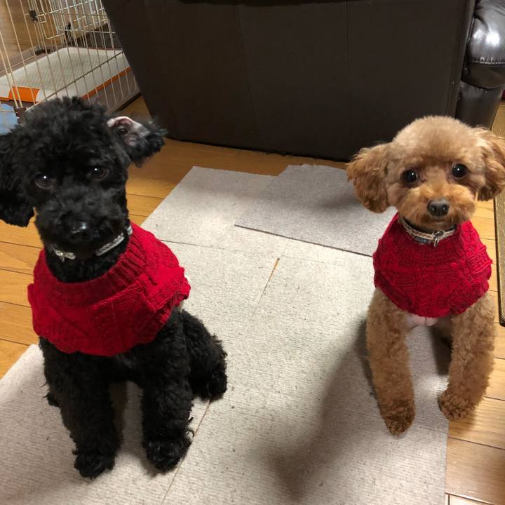 Fcdf0a64 2a29 433d 8470 1559c7c67bf2 1543096129688