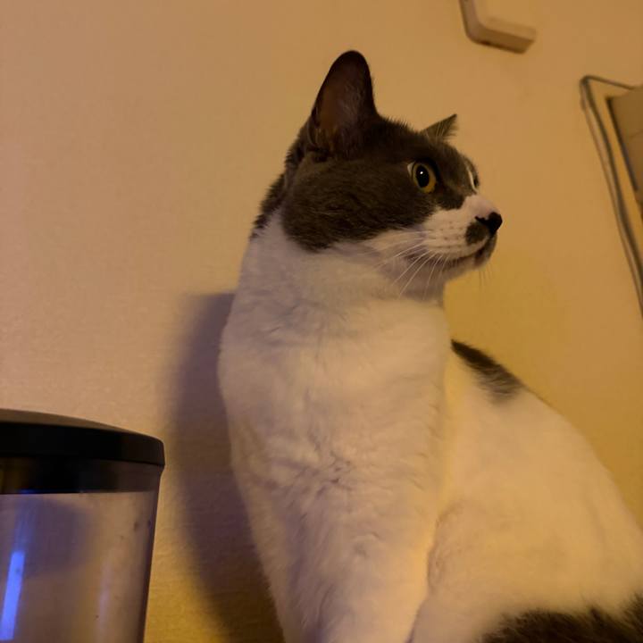 Fcdf5a83 6ad7 49c0 89b8 2dc43f330f2a 1761262938149