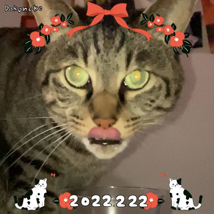 Fcdf7631 f2f3 4b5b 8d2f 81848d7f4488 1645530016852