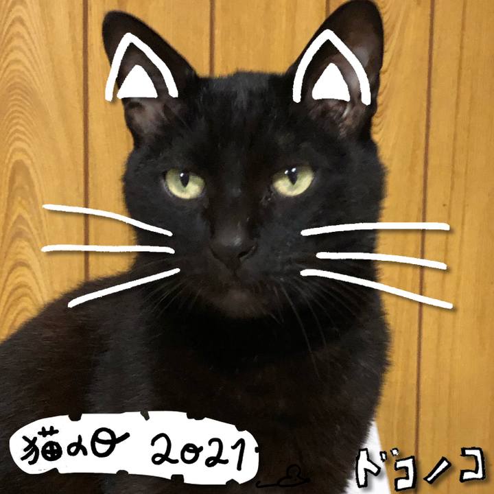 Fcdf7b76 5583 4eb4 90f5 3bede39bf0af 1613993386568