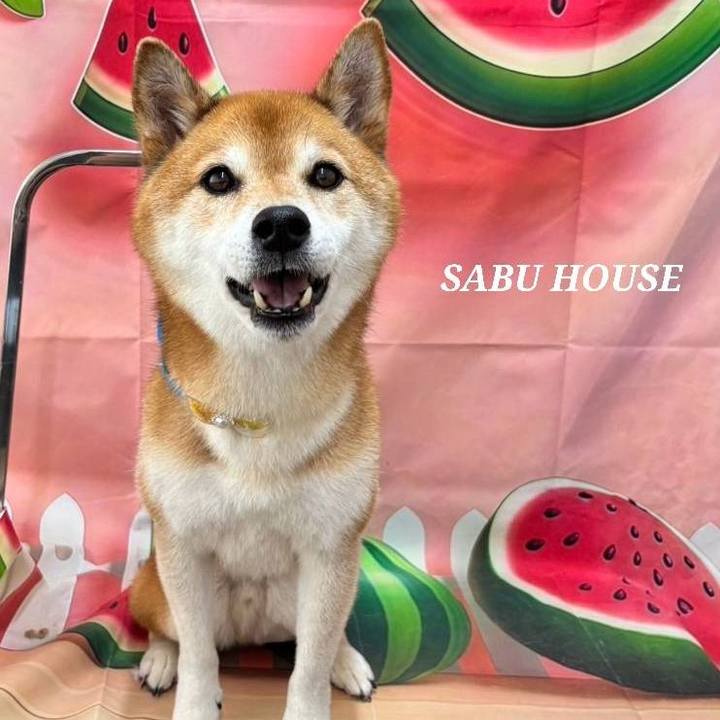 Fcdf8818 6677 4ebf ad07 eb5c98f39faf 1754472304715