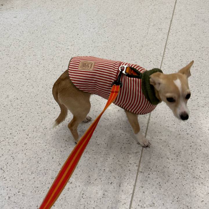 Fcdf8f5e 8369 4116 bb69 5f794b2ac1f8 1676722082225