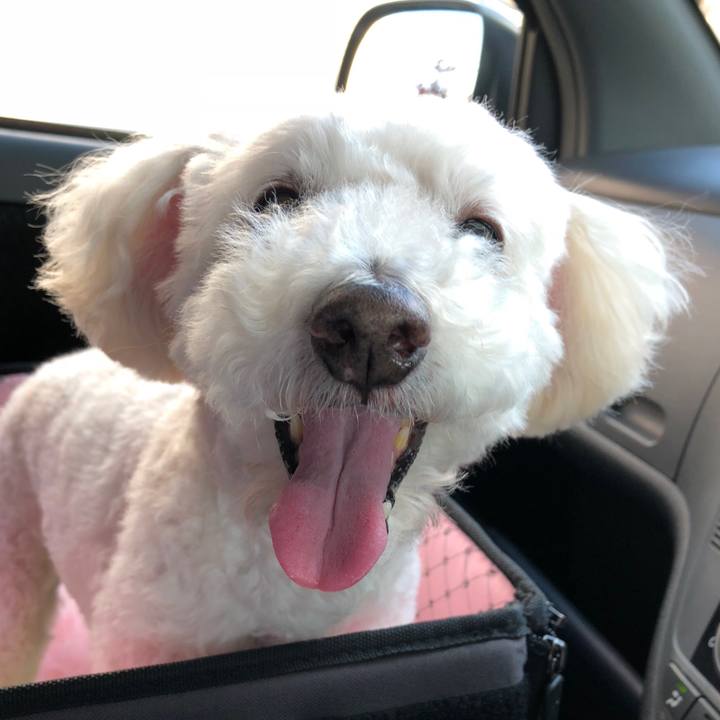 Fcdf9b18 33c2 4875 9f24 376442137d17 1541766034853