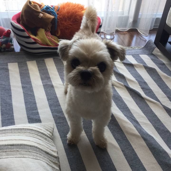 Fcdfab76 b8e3 4a11 a983 2333f53174d2 1536469704023