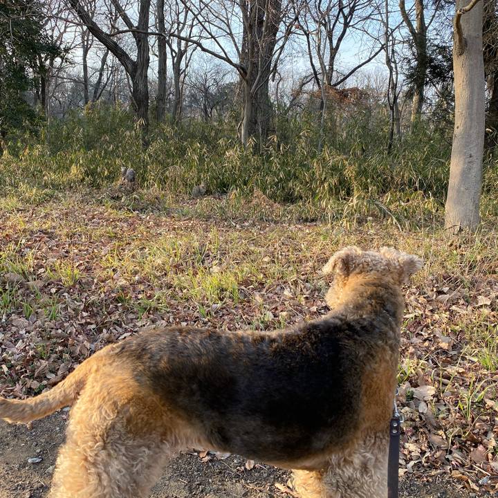 Fcdfc78a deca 4be2 9950 434da5ec7426 1611376317434