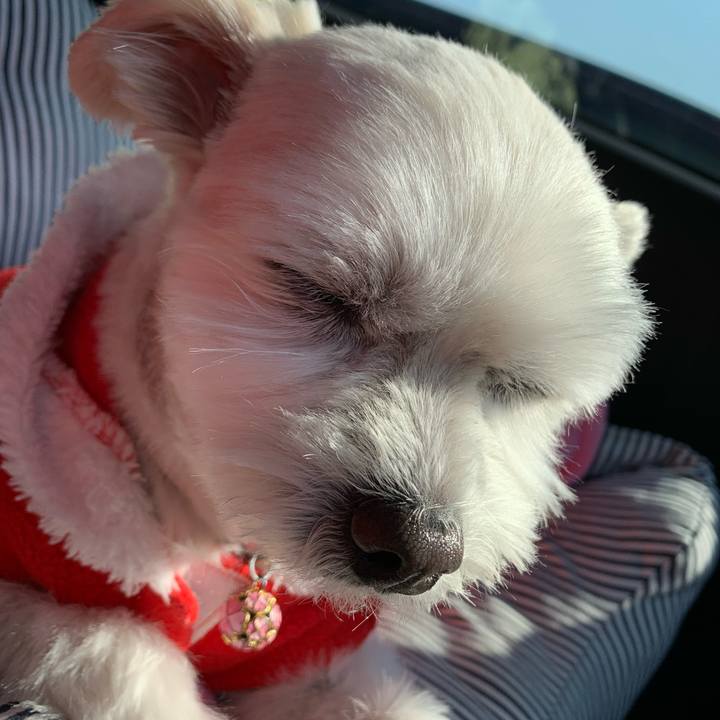 Fcdfd380 11d9 403c a325 5b78d90386f8 1640325013312