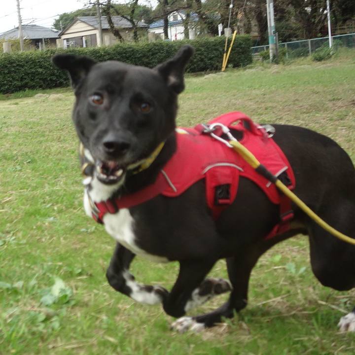 Fcdfed37 17cf 44f3 99b6 f75127ad7a0b 1602806985941