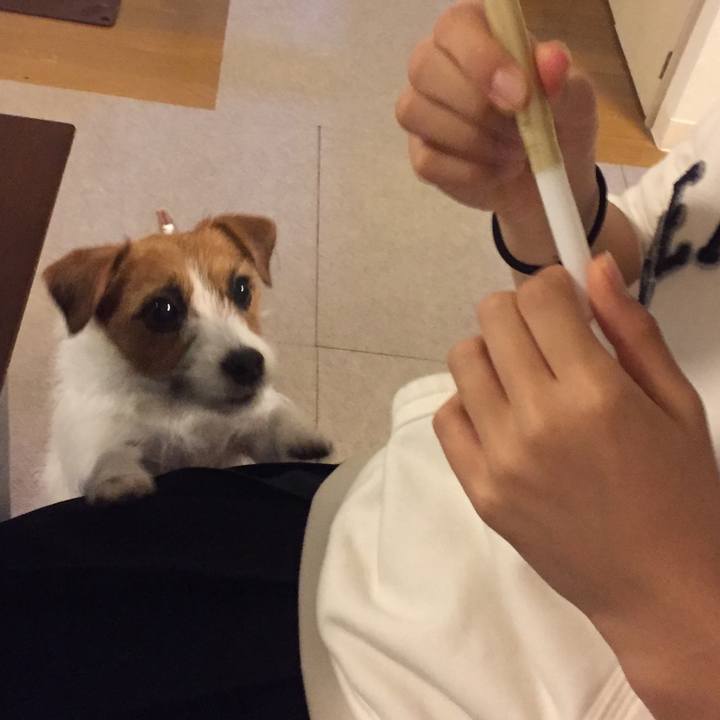 Fcdff29c bad9 400f 931b ccbc218f3c47 1511042867513