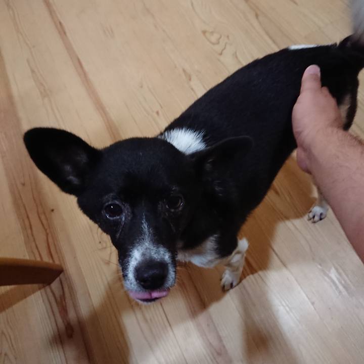 Fcdff778 e3c4 4e4d 9ce0 1546d1fa892e 1600947004266