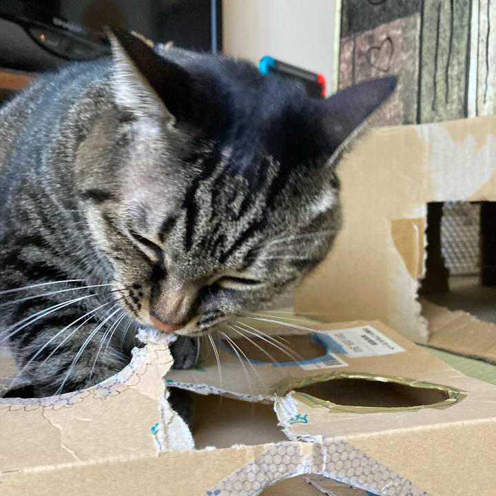 Fcdff77e cd46 498c 831b 3909c934323c 1606094493371