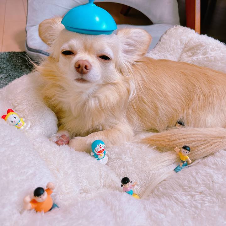 Fce041a7 e68c 4d1d bfb5 f2e21132e670 1650790436663