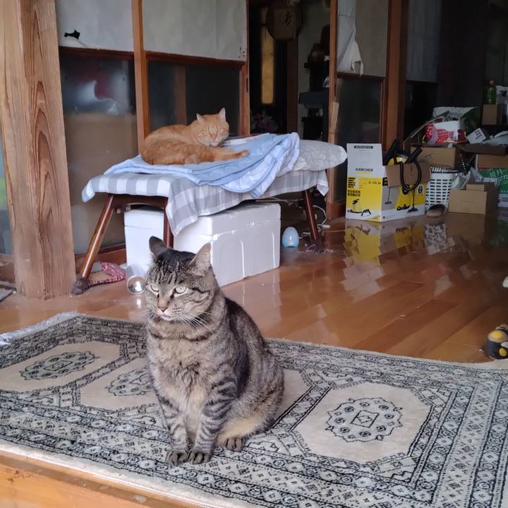 Fce0431b 0c53 4c1b a665 43e3e210e392 1689326797992