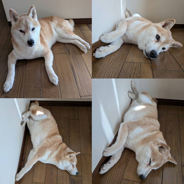 Fce08614 5019 45ec 9e98 70530a59abf0 1757919030875