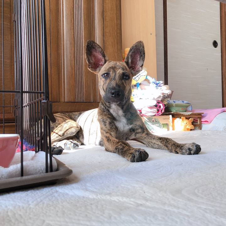 Fce0b18b 42ec 4ee8 afc0 de0990eb4e8f 1573371353957