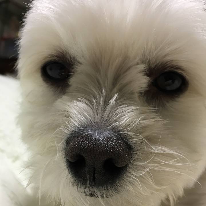 Fce0f56e aeac 485f ab46 b1a00c4859b0 1523709564848