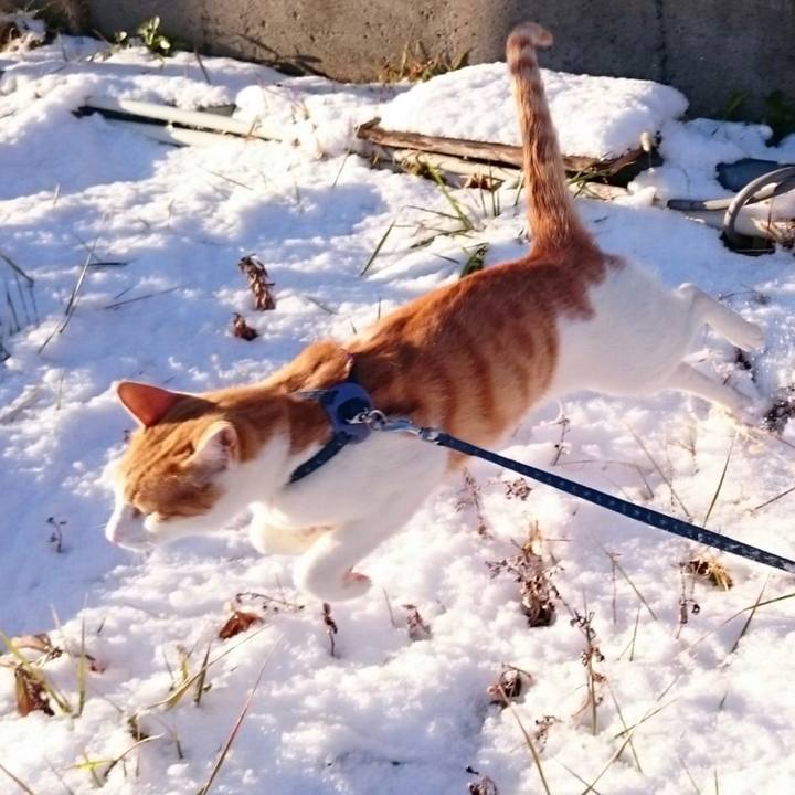 Fce12b5b 65bd 4251 a74b f4399c2b76e6 1514967682784