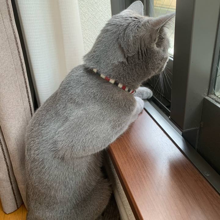 Fce17261 8e4f 4cb8 868d 552c02866e7f 1622249569249