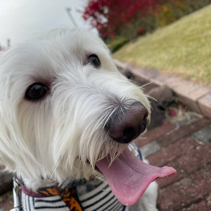 Fce17c3c f5b8 4882 8e3a 9d19086654c3 1635909387412