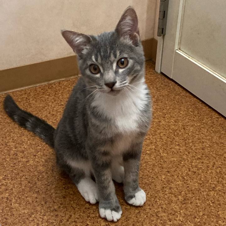 Fce1af0f b285 4abf 9ca7 980161fd7478 1703144726703