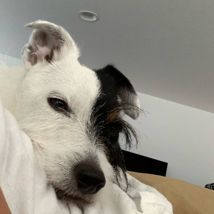 Fce1becf df6e 4225 a369 2688af270670 1623480506532