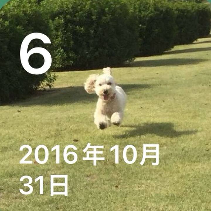 Fce1cf5d 7bcc 4718 86ed 2eaaf6cd8777 1762498673172