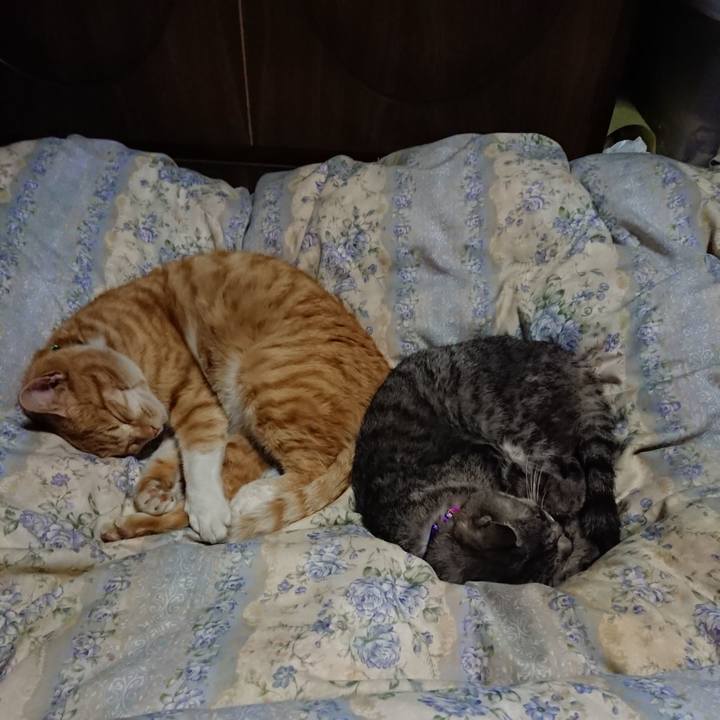 Fce1f341 944f 4170 8284 8662a37cdb5c 1581773270524