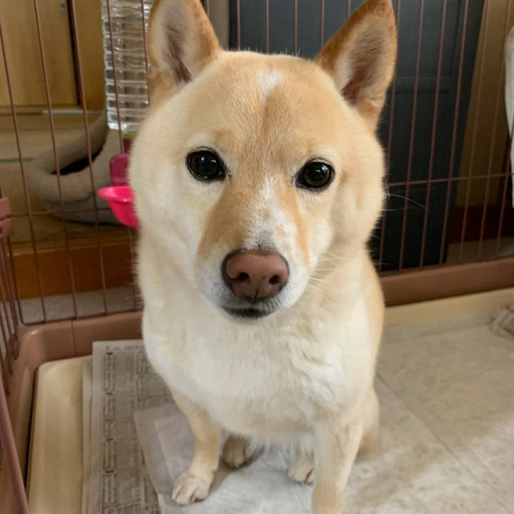 Fce1f99d f956 4fbc b5e0 1e2d8c013d02 1621725068601