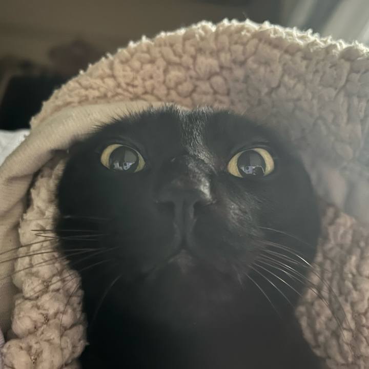 Fce1fa36 a5ca 43e5 b5e7 fd71337382fe 1771112986954