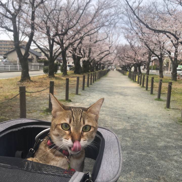 Fce1fe77 743f 4c44 9225 ceca56626544 1648175924935