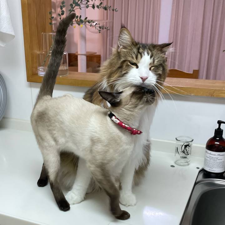 Fce20f32 575f 42b8 83f7 3fec20895822 1706039049418