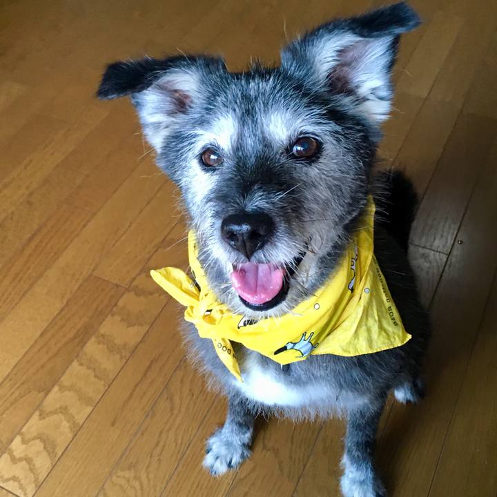 Fce22903 e8cb 4054 89a7 7536c8115fbc 1532381619751