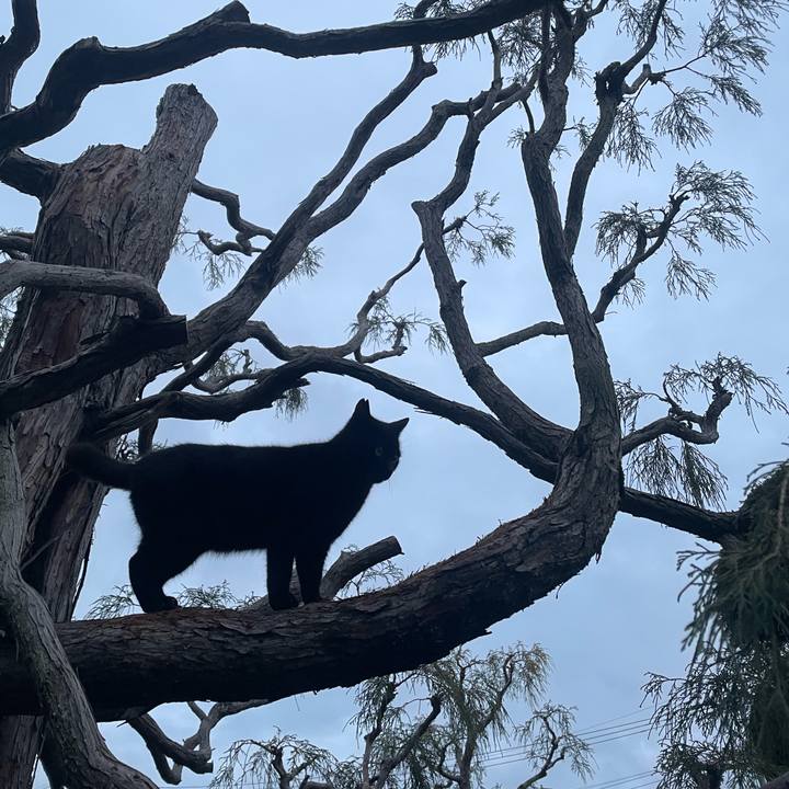 Fce26db0 7b18 489f 8ef1 51a1cb6a4758 1774777008608