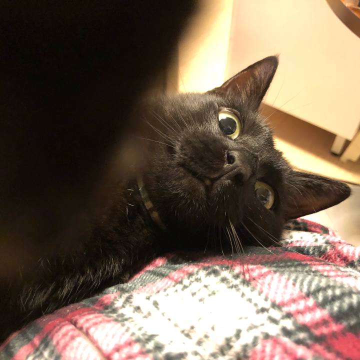 Fce29b9f d097 4cb6 b02b b417744f08ae 1520859928446