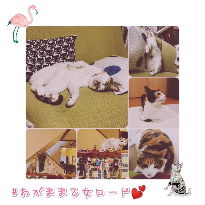 Fce2d5b5 9e88 4a78 a99b 7d518b694e71 1567338300125