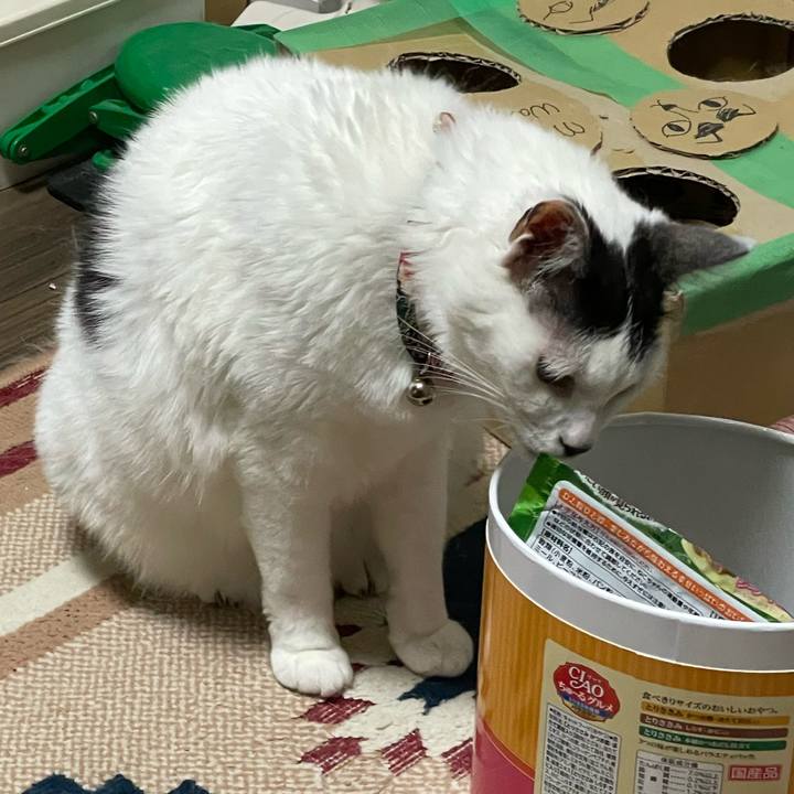 Fce2fbb2 ff39 4c28 b36c c07018f71a9b 1718116688741