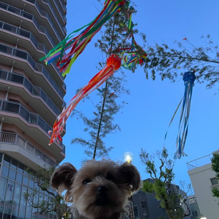 Fce2ffe4 786c 4b8c 88c1 ea9e1d0d52f1 1753958233620