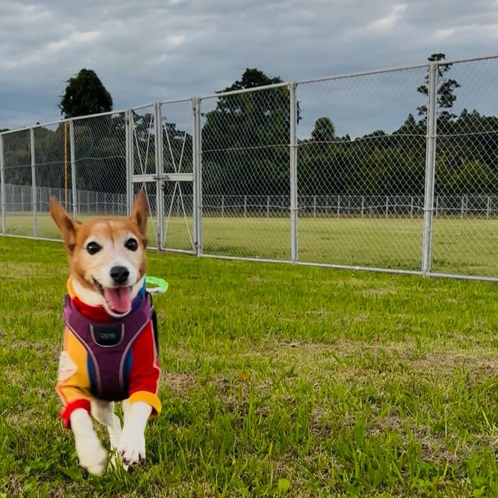 Fce30a84 87bb 4a4f 857f 979cb129217b 1761650575147