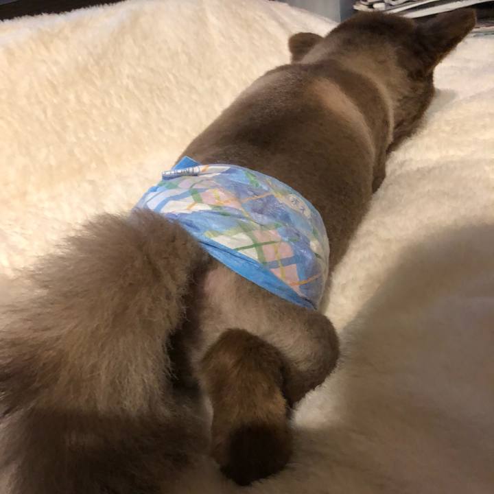 Fce31b2d 47ff 4c70 b094 16a35d63909d 1560289807280