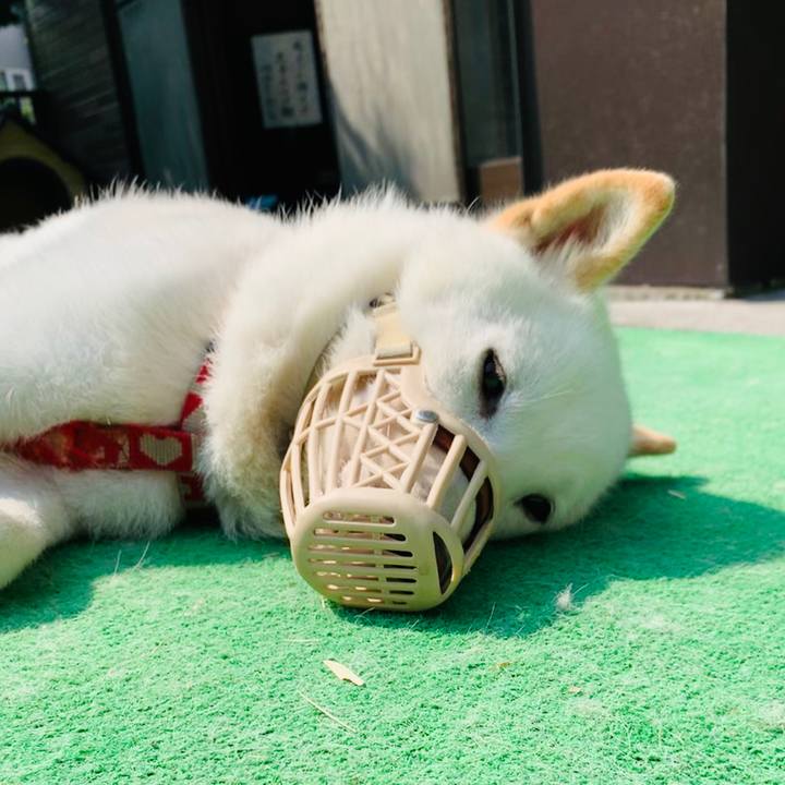 Fce32475 b329 4bcb 9f6b d5b1ab12ecce 1563046602655