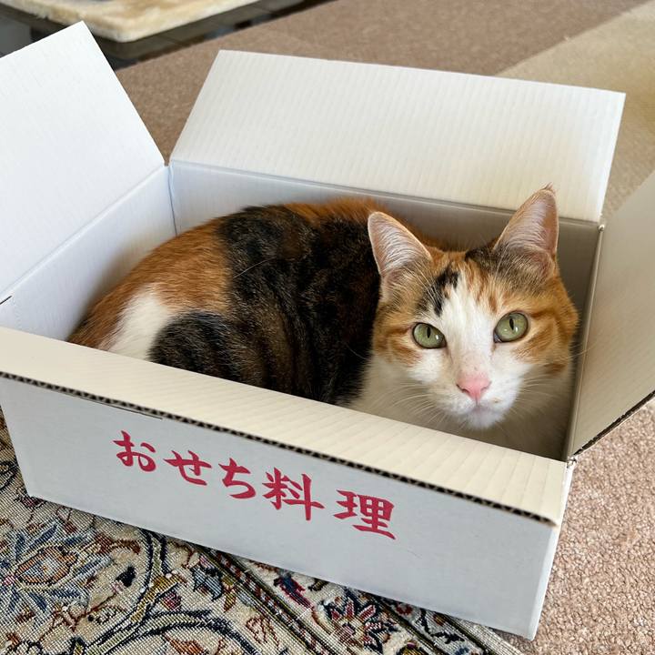 Fce32ebf 7ec5 428d 887f 78e5913174c4 1767322948694