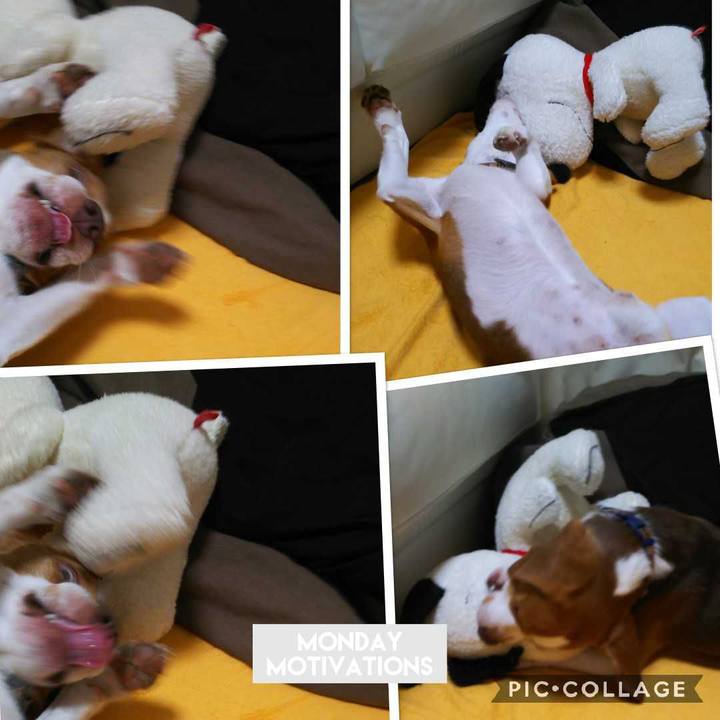 Fce39042 1e8e 4dba b293 97e999b2cd22 1567430328221