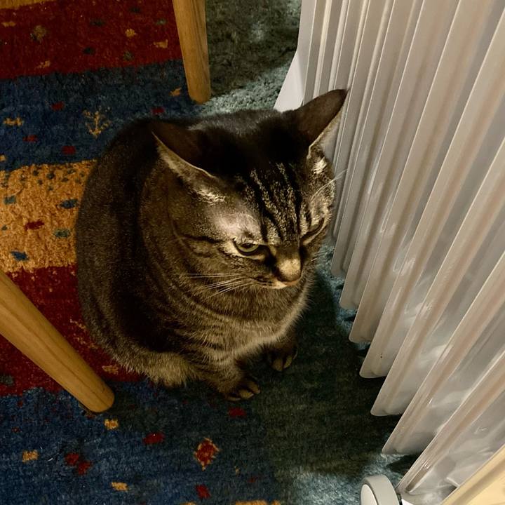 Fce3913d e497 4f30 a10f 40b2ba941c56 1672230338558