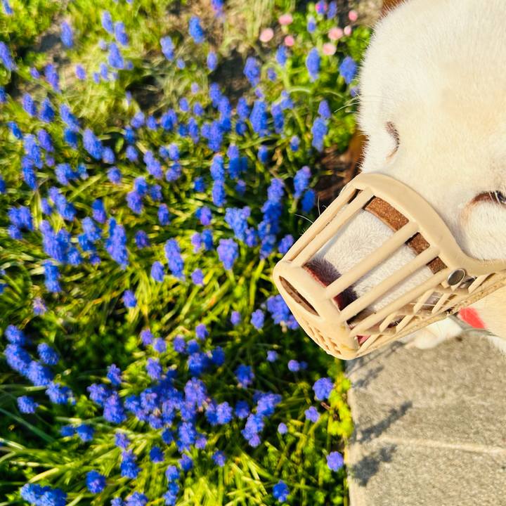 Fce395df 5f9b 485e a9d8 cd4fd59e266b 1715654409966