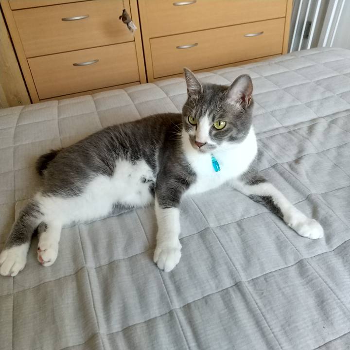 Fce396f6 4542 4700 a1ab 647f8a06addb 1623191772594