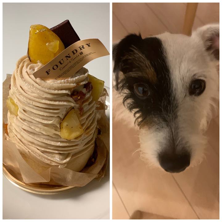 Fce39f6b 3920 4792 8862 622c728fcb8f 1572698307724