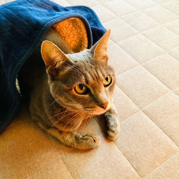 Fce3aa48 26bd 4bee 8ca6 d363bbeb1c43 1645925854899